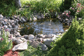 Our Northglenn Sprinkler Repair Team Does Pond Installation